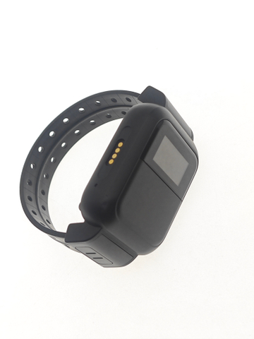 GPS-Ortungsuhr für Insassen mit Echtzeit-Tracking